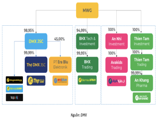 Giải mã hồ sơ IPO Điện Máy Xanh: Tái định vị chiến lược và chu kỳ tăng trưởng mới
